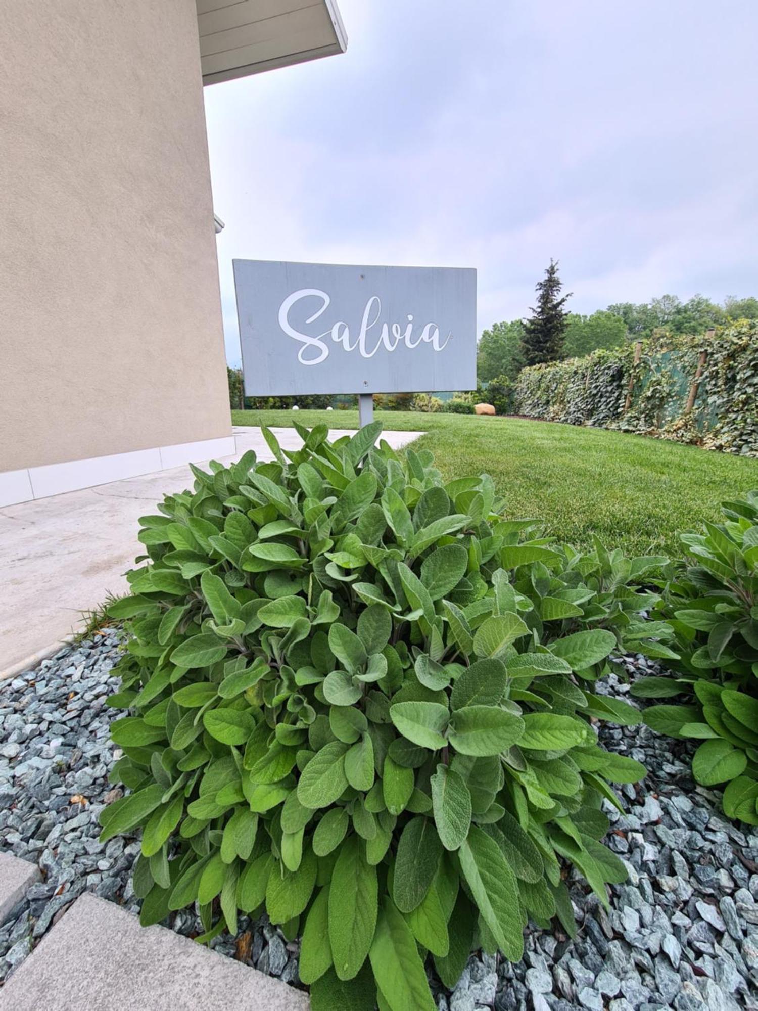 Residence Le Aromatiche Cavaion Veronese Phòng bức ảnh